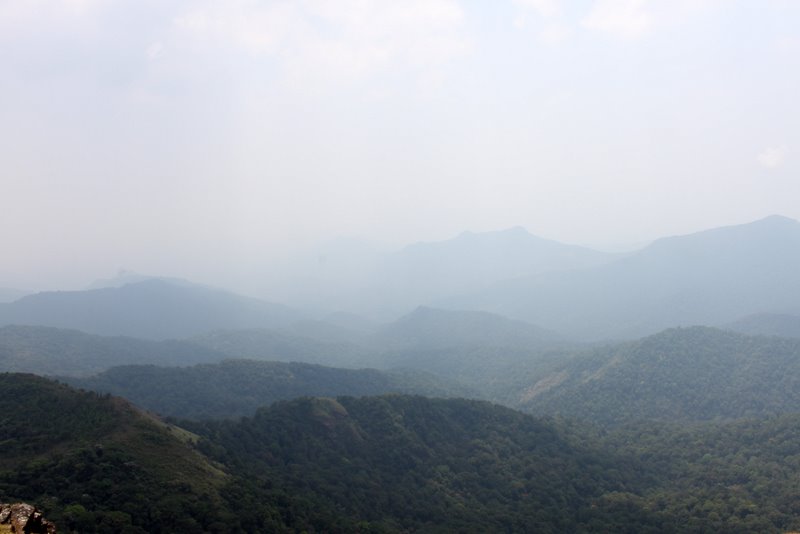 India 2010 - Coorg - Honey Valley - Trek towards Tadiandamol - Ridge Walk